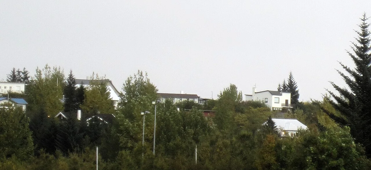 Trees and houses in Laugardalur, Reykjavík